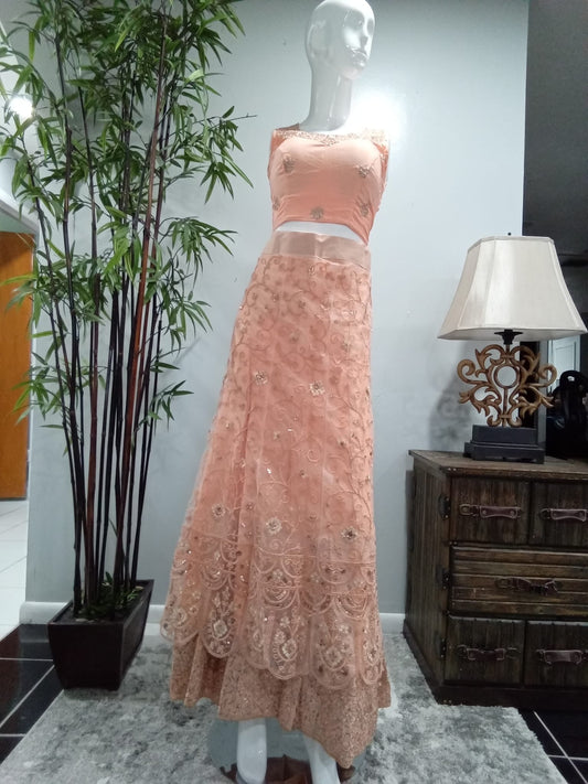 Pink Heavy Embroidered Lehenga with Diamond Embellishments - Devi's Exclusive Fashion
