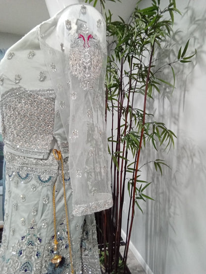 Peacock Embroidered Diamond Lehenga - Devi's Exclusive Fashion