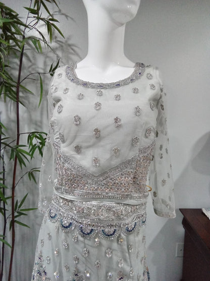 Peacock Embroidered Diamond Lehenga - Devi's Exclusive Fashion