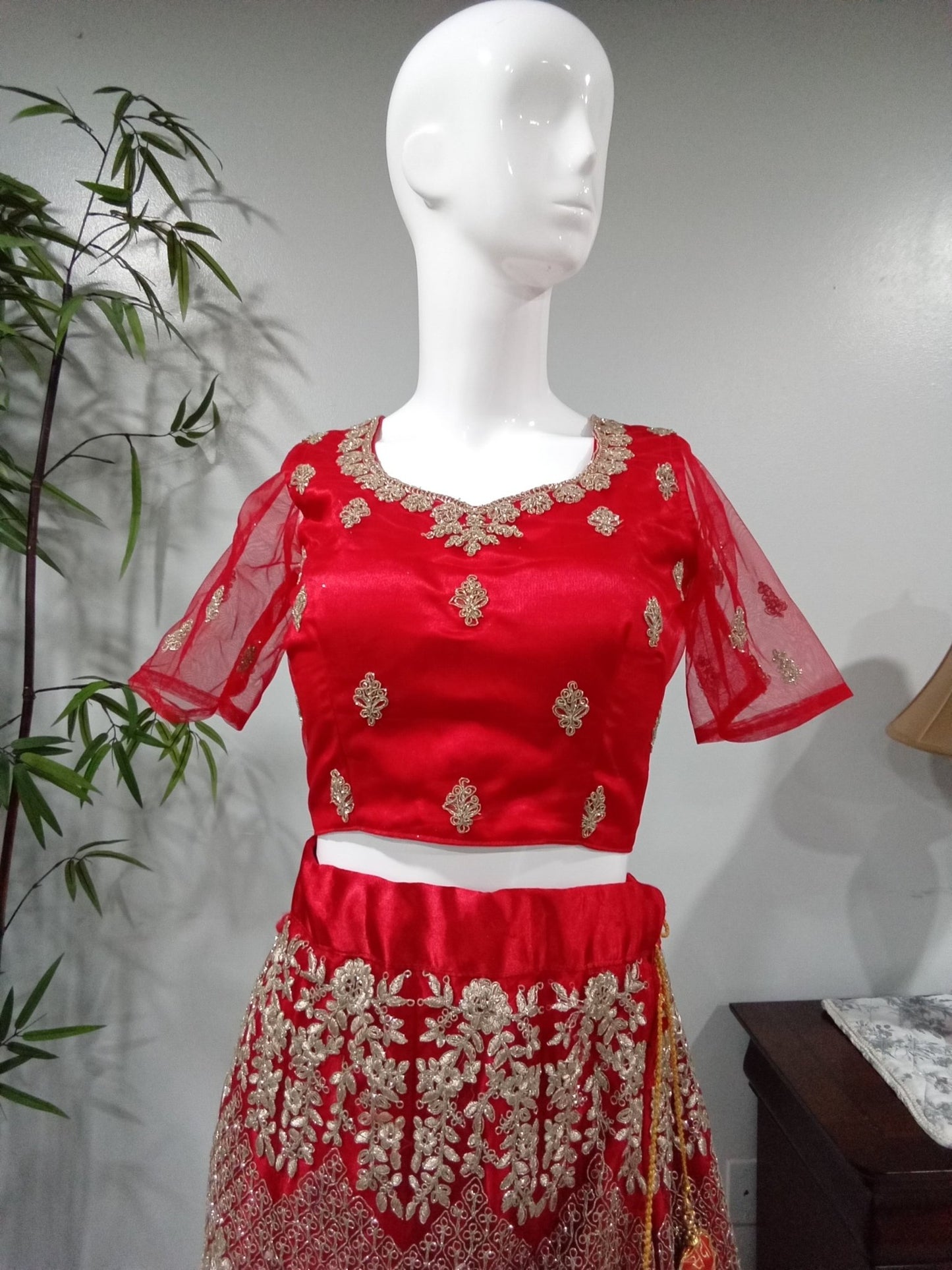 Red 3-Piece Lehenga with Silver and Gold Design - Devi's Exclusive Fashion
