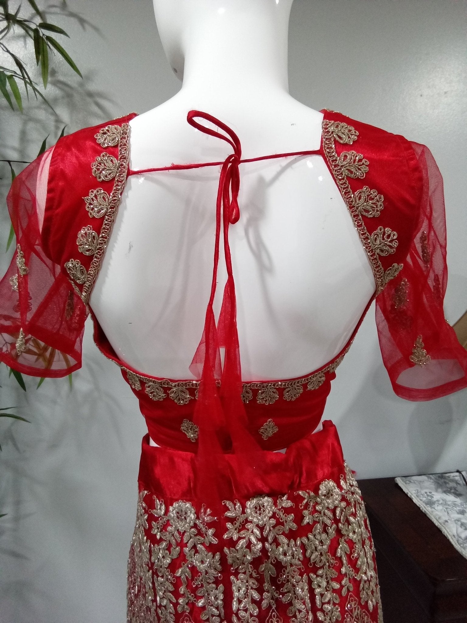 Red 3-Piece Lehenga with Silver and Gold Design - Devi's Exclusive Fashion
